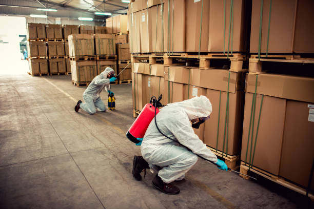 Reliable Elma, WA Pest Control Solutions