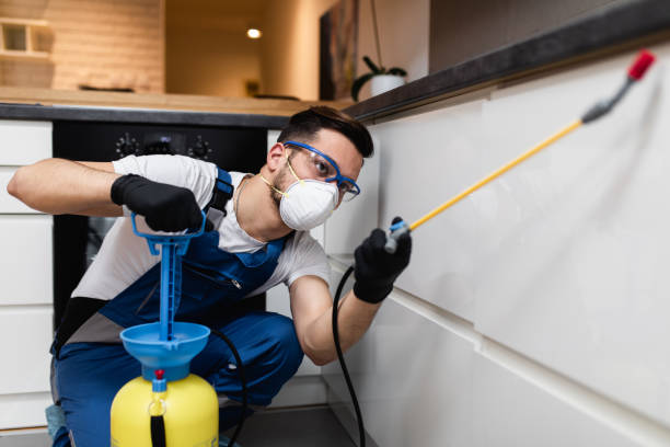 Best Local Pest Control Services  in Elma, WA