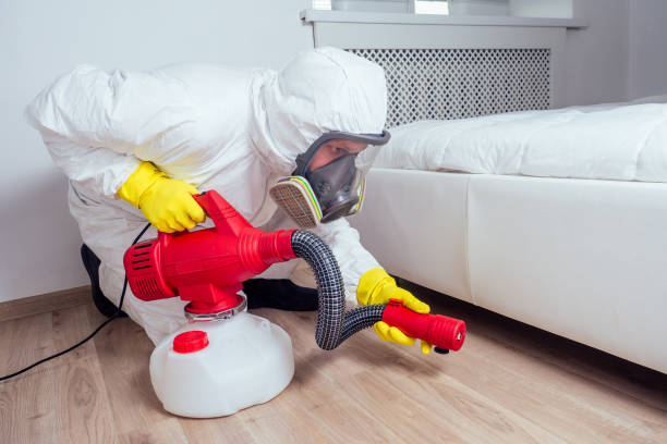 Best Mosquito Control Services  in Elma, WA