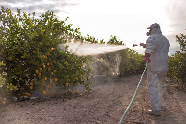 Best Cockroach Control Services  in Elma, WA