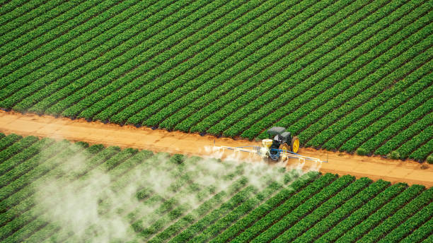 Best Commercial Pest Control Services  in Elma, WA