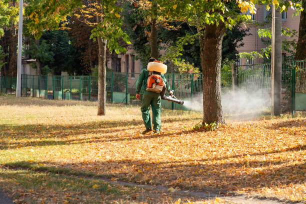 Best Exterminator Services  in Elma, WA