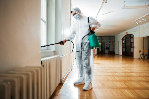 Best Affordable Pest Control Services  in Elma, WA