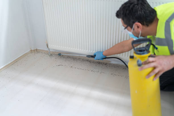 Pest Prevention Services in Elma, WA