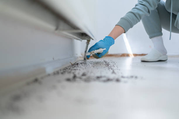 Best Emergency Pest Control  in Elma, WA
