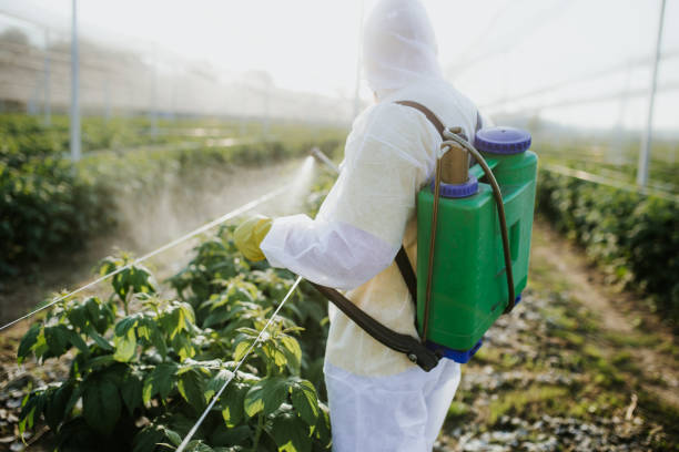 Best Flea Control Services  in Elma, WA